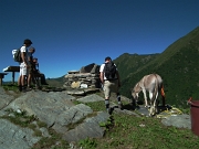 BIVACCO ZAMBONI (2007 m.) - PIZZO DEL VENTO (2235 m.) - MONTI TARTANO (2292 m.) E e AZZAREDO - FOTOGALLERY